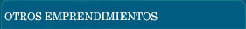 consultora en relaciones publicas.jpg